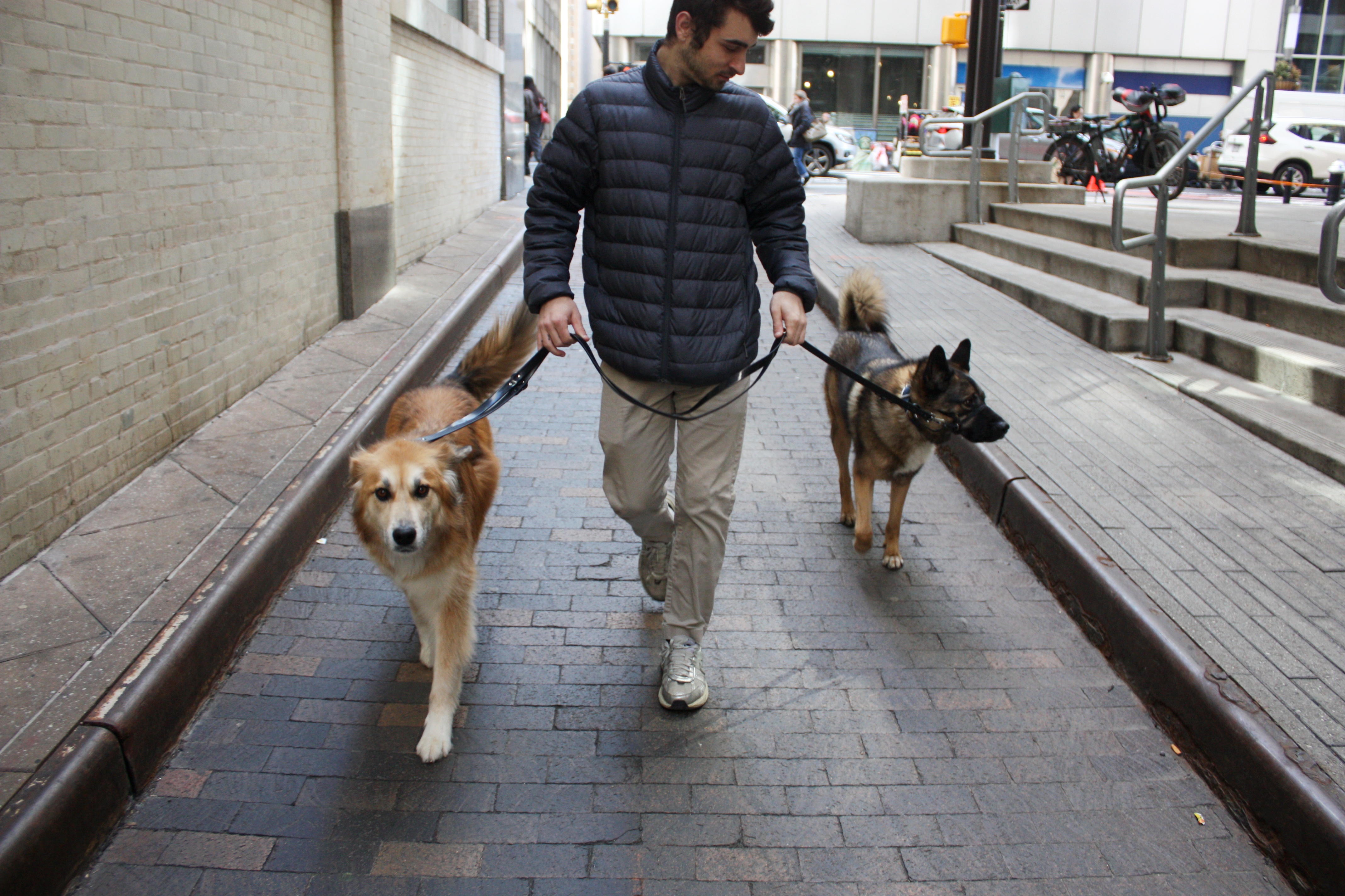 Seaport Pups 4